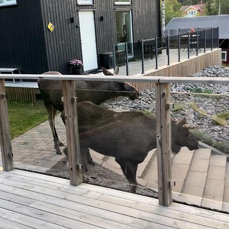 Cabin In The Woods, Close To Lake Maelaren يسكيلستونا المظهر الخارجي الصورة