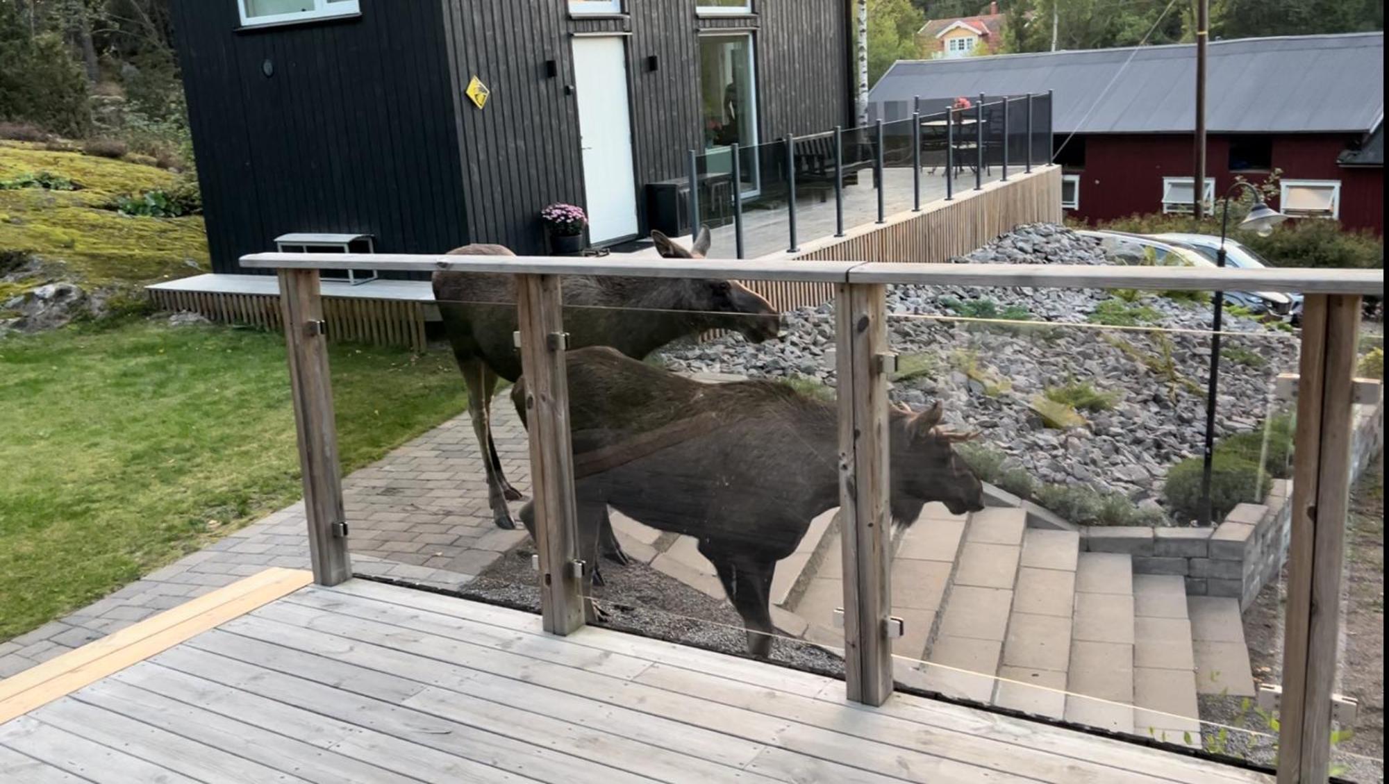 Cabin In The Woods, Close To Lake Maelaren يسكيلستونا المظهر الخارجي الصورة